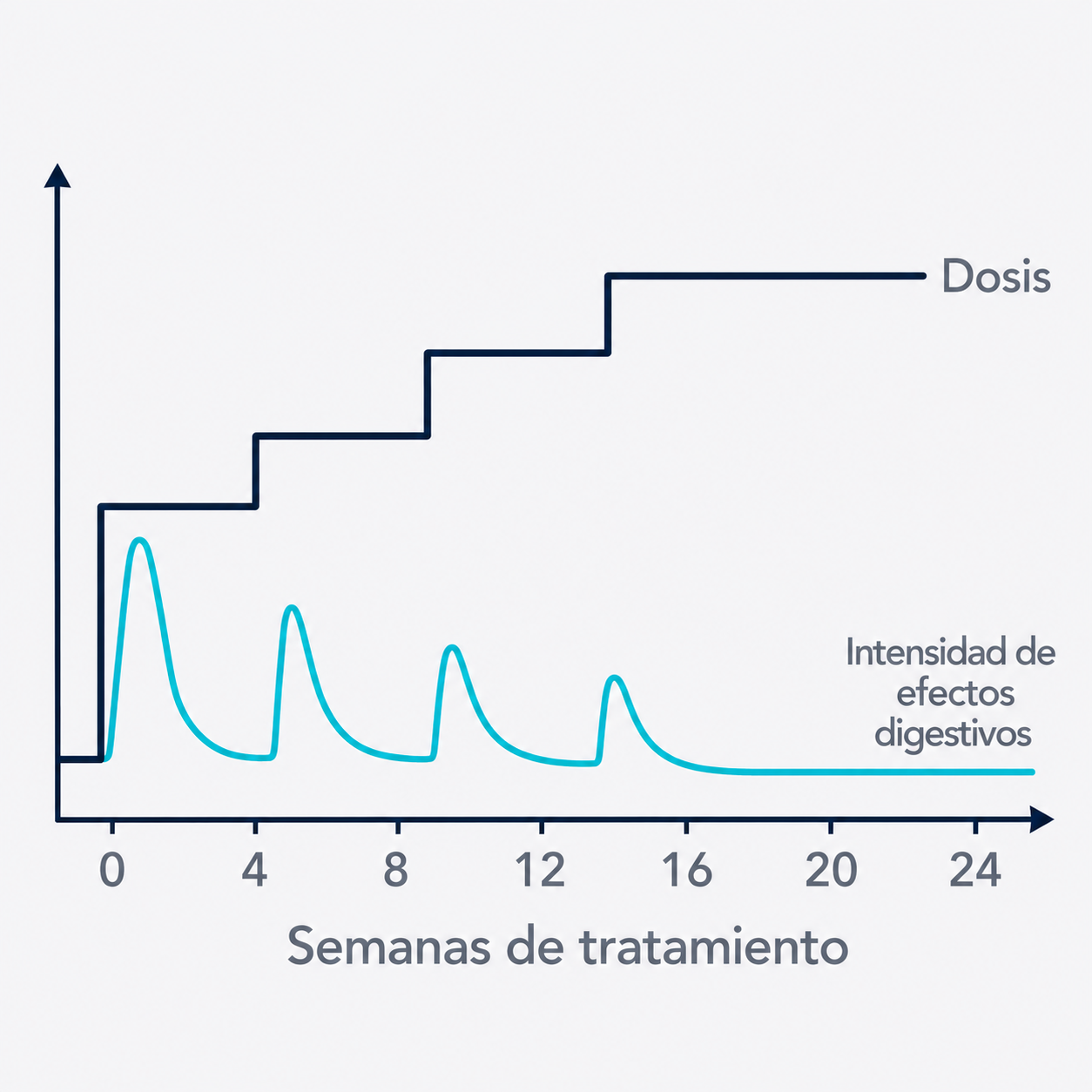 Dos curvas: la dosis sube por etapas y los efectos digestivos máximos se reducen conforme el cuerpo se adapta.