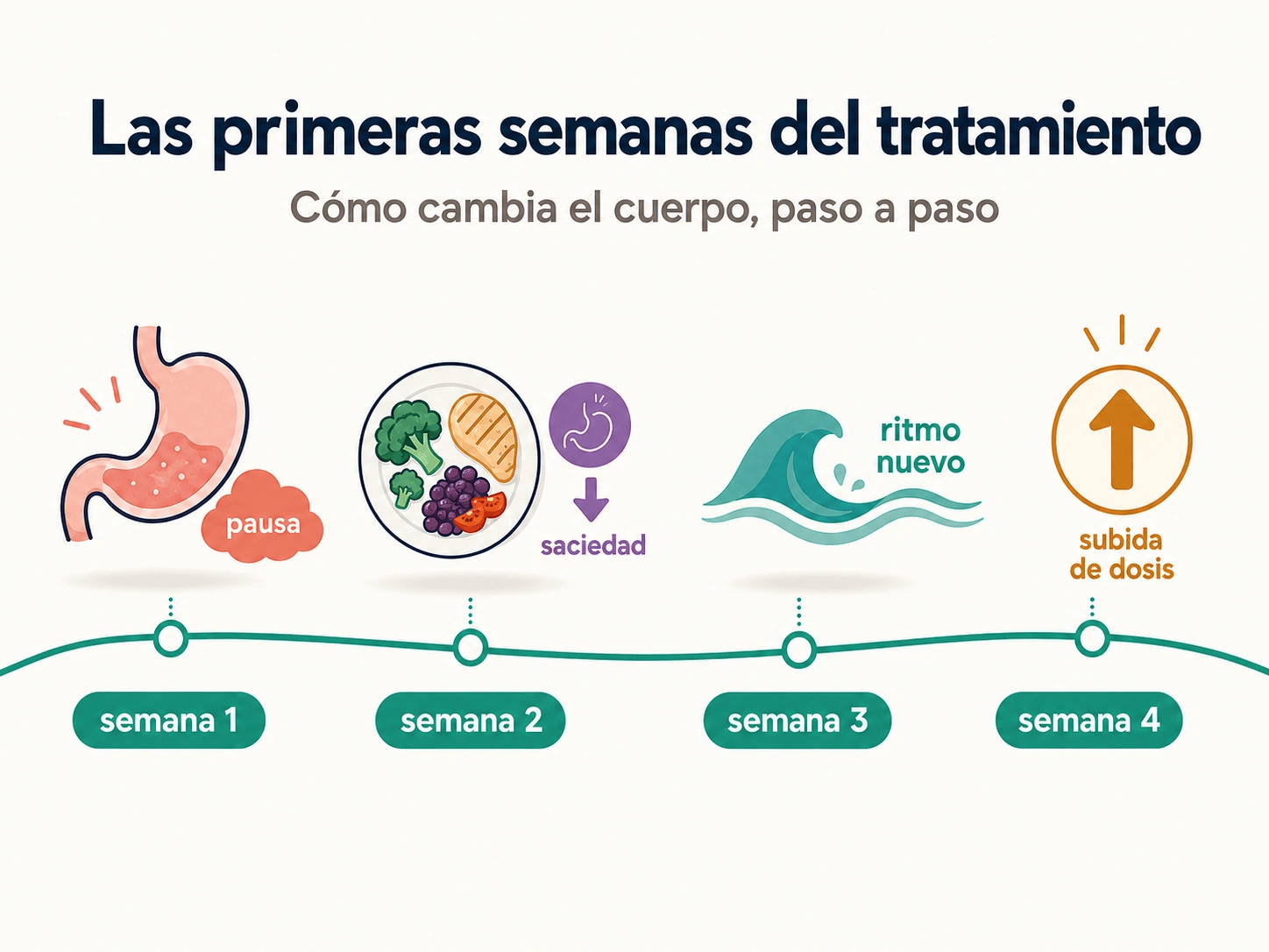 Cronología orientativa de las primeras semanas del tratamiento: pausa digestiva en semana 1, saciedad en semana 2, ritmo nuevo en semana 3 y subida de dosis en semana 4.