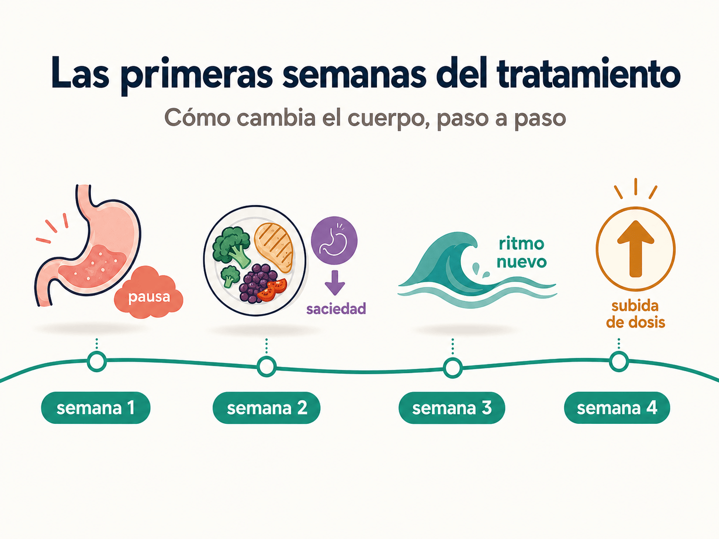 Curva de pérdida de peso entre las semanas 4 y 12 del tratamiento médico, con marcas en saciedad estable, ritmo de comida y rutina semanal.