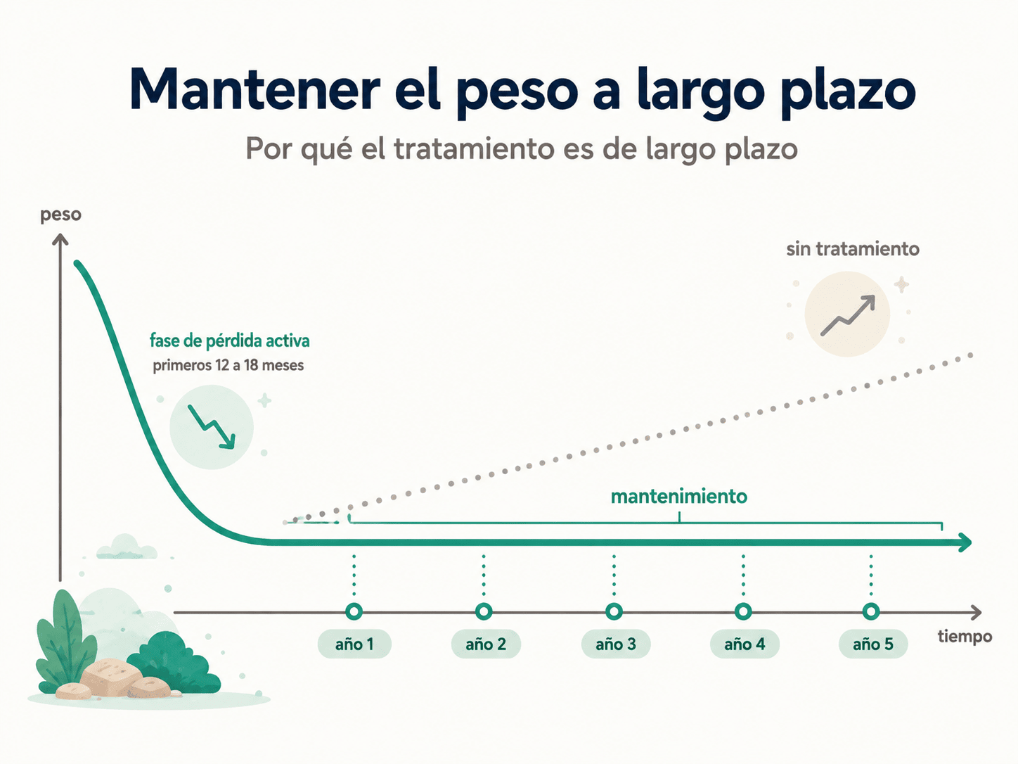 Curva del peso a largo plazo: fase de pérdida activa los primeros 12 a 18 meses, luego mantenimiento estable durante años; línea discontinua muestra la recuperación sin tratamiento.