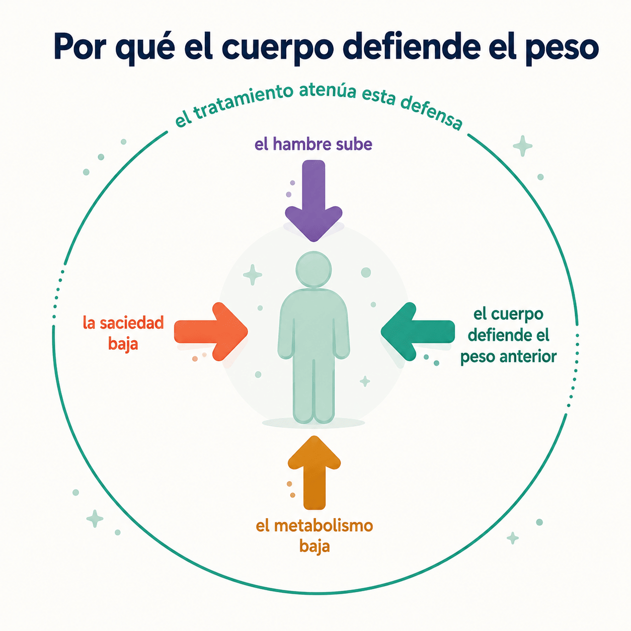 Cuando se pierde peso, el cuerpo defiende el peso anterior: sube el hambre, baja la saciedad y baja el metabolismo. El tratamiento atenúa esta defensa.